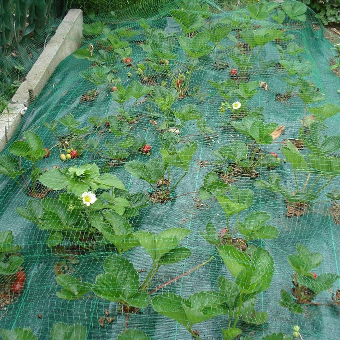 RETE ANTIUCCELLI IDEAL STAR 4x10 mt - colore verde - IDEAL STAR