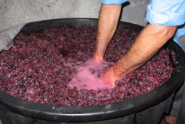 MASTELLO AGRICOLO CON MANICI 65 lt - Ø 55x42h