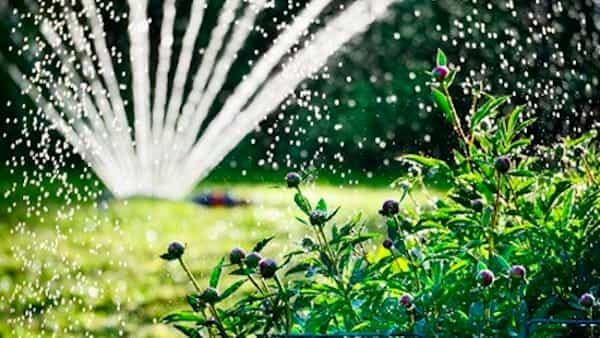 IRRIGATORE SU BASE A FARFALLA IDEAL STAR - IDEAL STAR