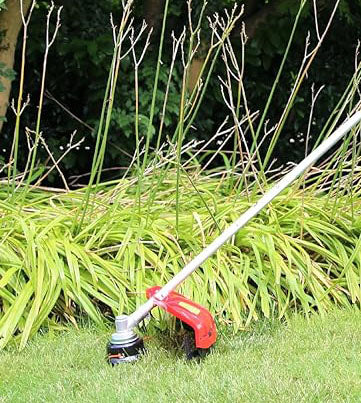 DECESPUGLIATORE A SCOPPIO IDEAL STAR 51C CON MANICO 51,7 cc - IDEAL STAR