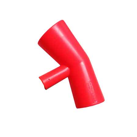 RACCOGLI FICHI D'INDIA