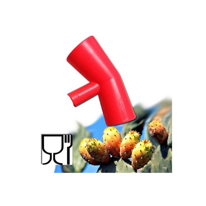 RACCOGLI FICHI D'INDIA