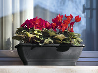 CASSETTA CON SOTTOCASSETTA 'VENEZIA' cm 40x19x16h - colore avana