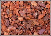 CORTECCIA 'ITALIANA' 60 lt