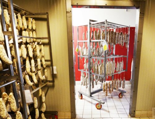 GANCIO FISSO 100x4 mm - 2 punte - 10 pezzi