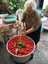 PENTOLA A CALDAIA PESANTE Ø cm 70x43h - cap. 92 lt