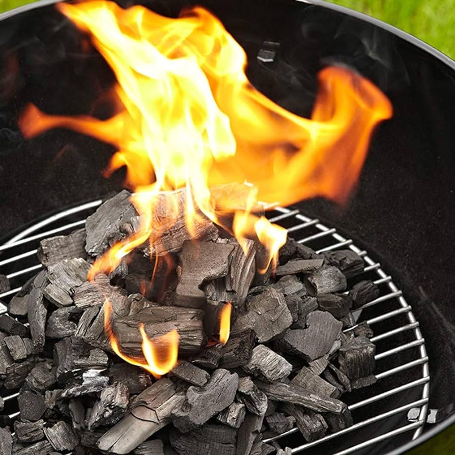 CARBONE DI LEGNA 2,5 kg