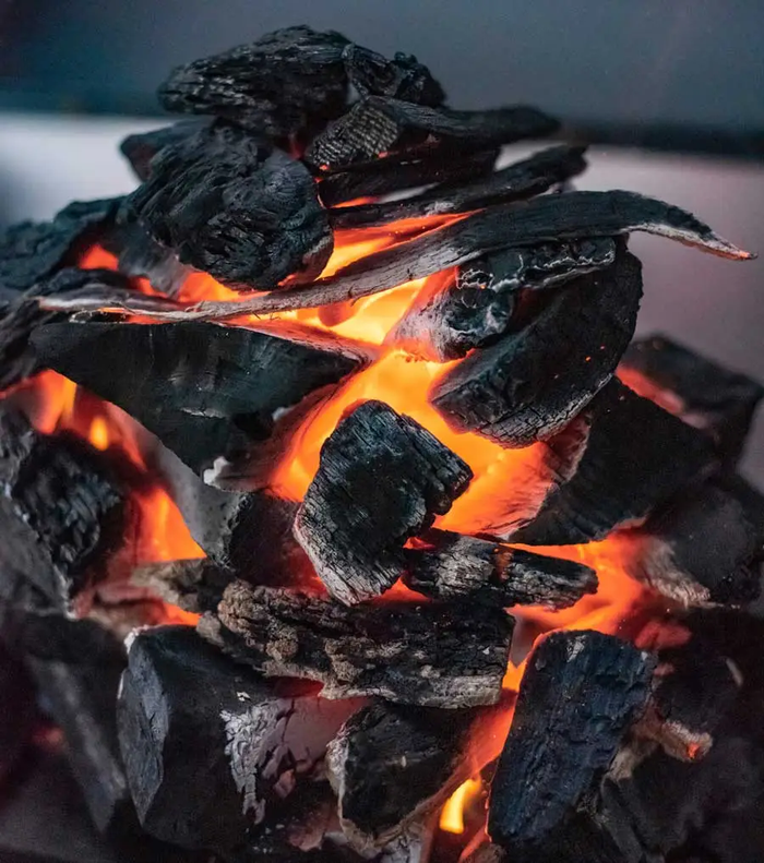 CARBONE DI LEGNA 2,5 kg