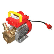 POMPA DA TRAVASO ROVER- Hp 1 - 650 W - Racc. 30- FF- pezzi 1