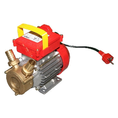 POMPA DA TRAVASO ROVER- Hp 1 - 650 W - Racc. 30- FF- pezzi 1