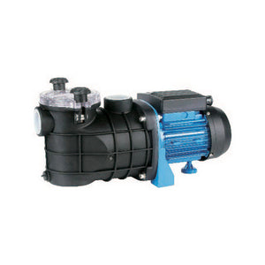 ELETTROPOMPA PER PISCINA- kw 0,25- CACHE- pezzi 1