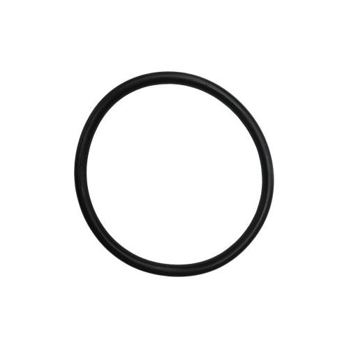 GUARNIZIONE PER TAPPO A VITE- Diam. 100