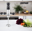 FRULLATORE A IMMERSIONE ACCIAIO ZHC104 ZEPHIR - VOLT 230 WATT 1000 2 VELOCITA