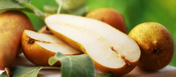 Pero ABATE FETEL - Pianta da Frutto Frutta polpa bianca