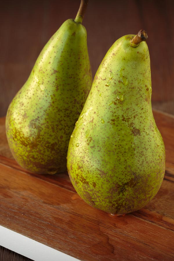 Pero ABATE FETEL - Pianta da Frutto Frutta polpa bianca