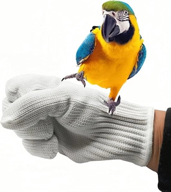Manichini antipizzicchi per addestramento degli uccelli, guanti con presa per piccoli animali, guanti protettivi contro danni causati da piccoli animali domestici come scoiattoli, hamsters, pappagalli, canarini e aringhini (1 coppia)