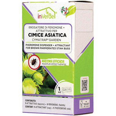 ESCA TRAPPOLA CIMICI ASIATICHE INVERDE - FERORMONE + ATTRATTIVO