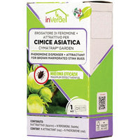 ESCA TRAPPOLA CIMICI ASIATICHE INVERDE - FERORMONE + ATTRATTIVO