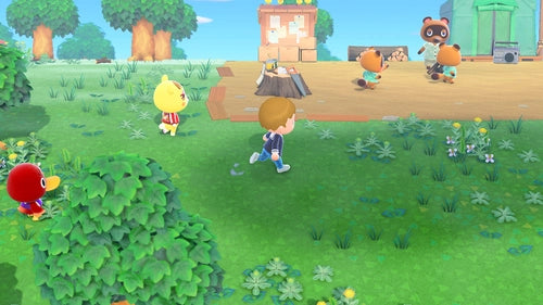 Switch Animal Crossing: New Horizons