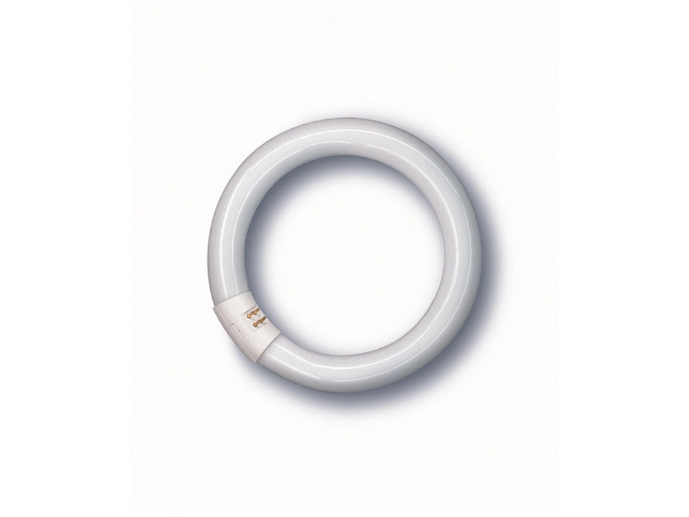 1pz neon fluorescente lumilux circolare g10q-luce naturale 40w-3200 lumen-cm.41 cod:ferx.vit41710