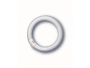 1pz neon fluorescente lumilux circolare g10q-luce naturale 40w-3200 lumen-cm.41 cod:ferx.vit41710