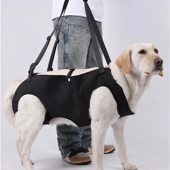 Sacca per cani extra grande – Cinturone in tessuto a rete respirabile, adatto per cani con artrite, dolori articolari e problemi di mobilità – Nero