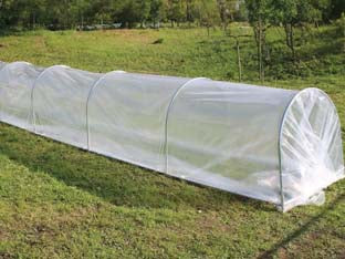 SERRA MINI- - cm.300x60x45h. - 1 pezzi T-REX