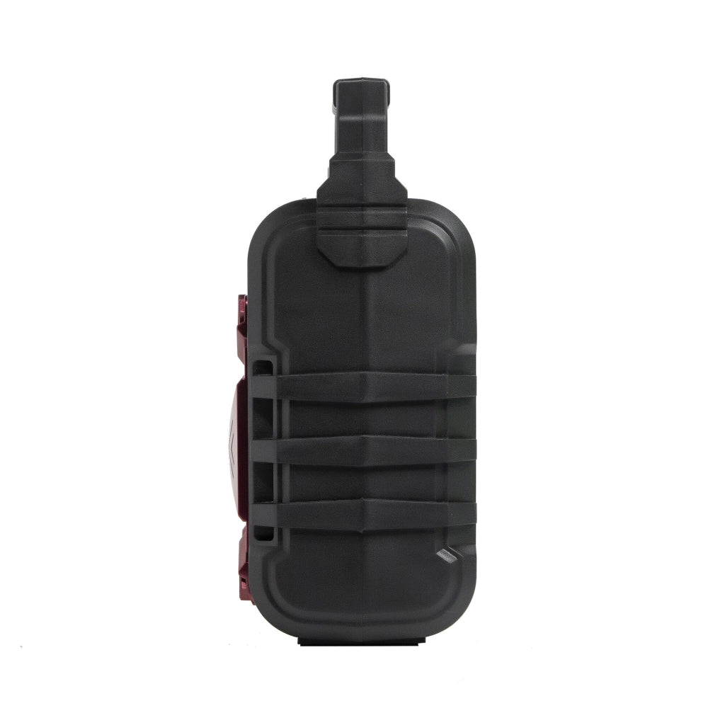 Cassa bluetooth portatile wireless con karaoke, microfono 6.3mm, funzione TWS e radio FM 60W - SOGO
