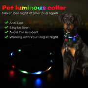 Cinturino di illuminazione per cani, (L-nero RGB)