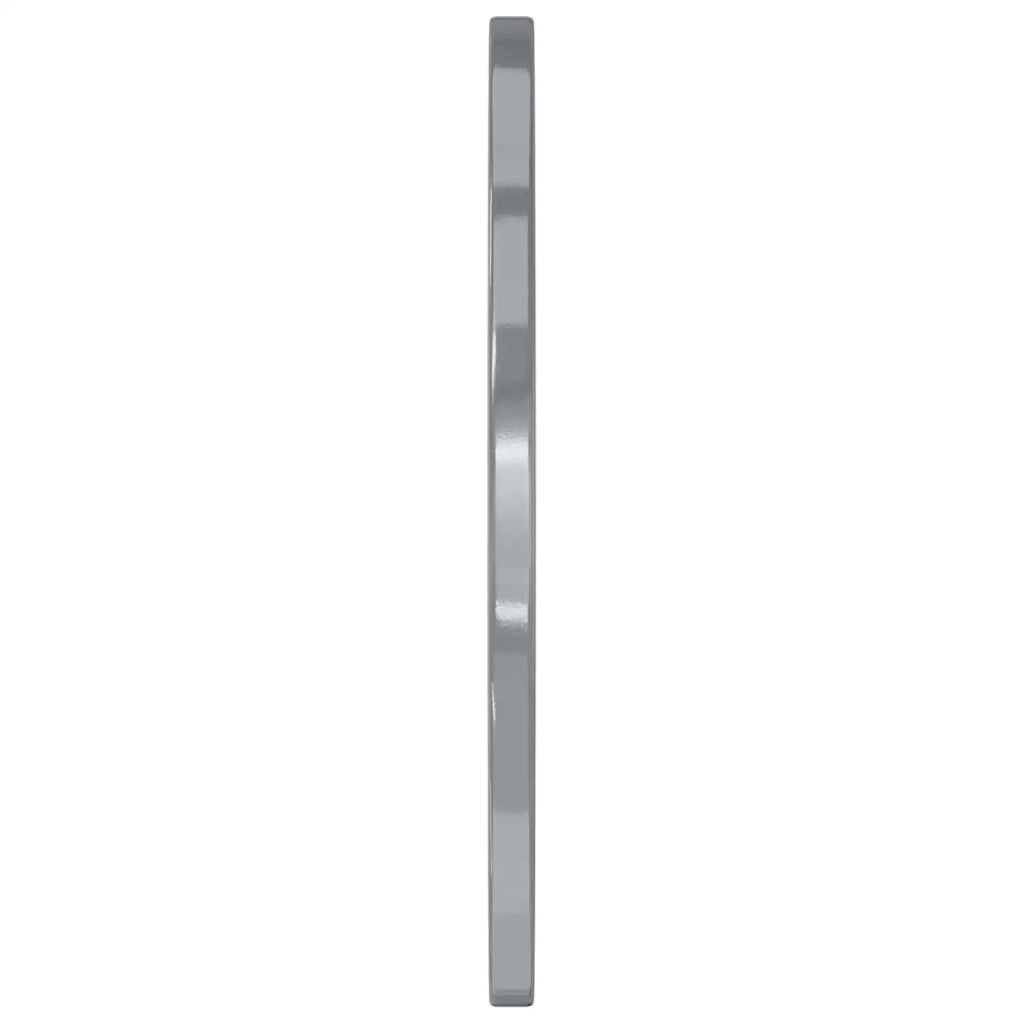 Rondelle 11842 pz Argento Ferro CFW2600237