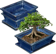 Set di 2 vasi per bonsai in ceramica con fori di drenaggio - Decorazione retro per piante da appartamento, 19 cm