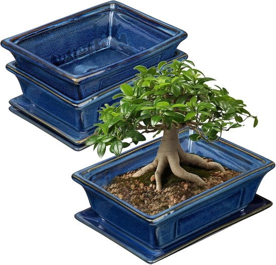 Set di 2 vasi per bonsai in ceramica con fori di drenaggio - Decorazione retro per piante da appartamento, 19 cm
