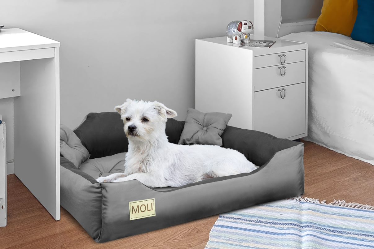 AIO FACTORY Cuccia per cani personalizzabile 100x75 cm con cuscino impermeabile grigio
