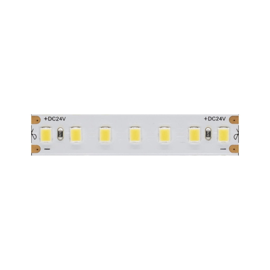 Striscia LED Beneito & Faure FINE 24V 9,6W/m - Bobina da 25 metri, Luce Fredda 6000K, Grado di protezione IP65 per Esterni - Beneito & Faure