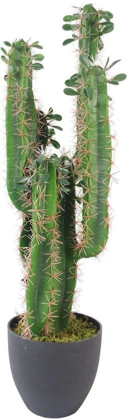 Pianta ornamentale artificiale a forma di cactus, con vaso, 75 cm