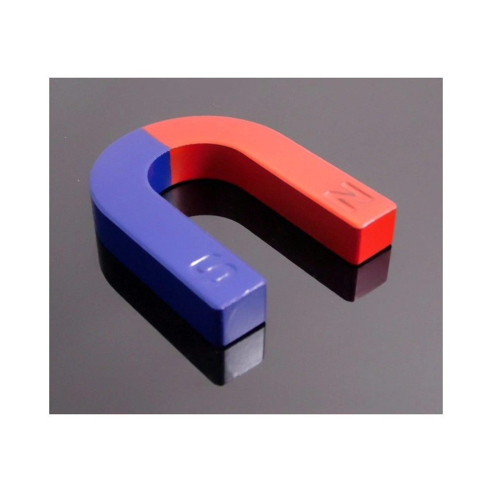 Trade Shop - 2 X Magnete Didattico Calamita 30mm A Forma Di U Positivo E Negativo Nord Sud -