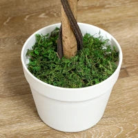 Albero artificiale, Pianta Artificiale in Vaso di Cemento, Pianta Artificiale