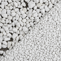 Block stone legante liquido per pietre e ghiaia *** formato 10 l, confezione 1