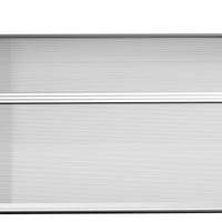 Pensilina Tettoia Moderna 110x60x18 cm in Policarbonato Alluminio e PP Trasparente