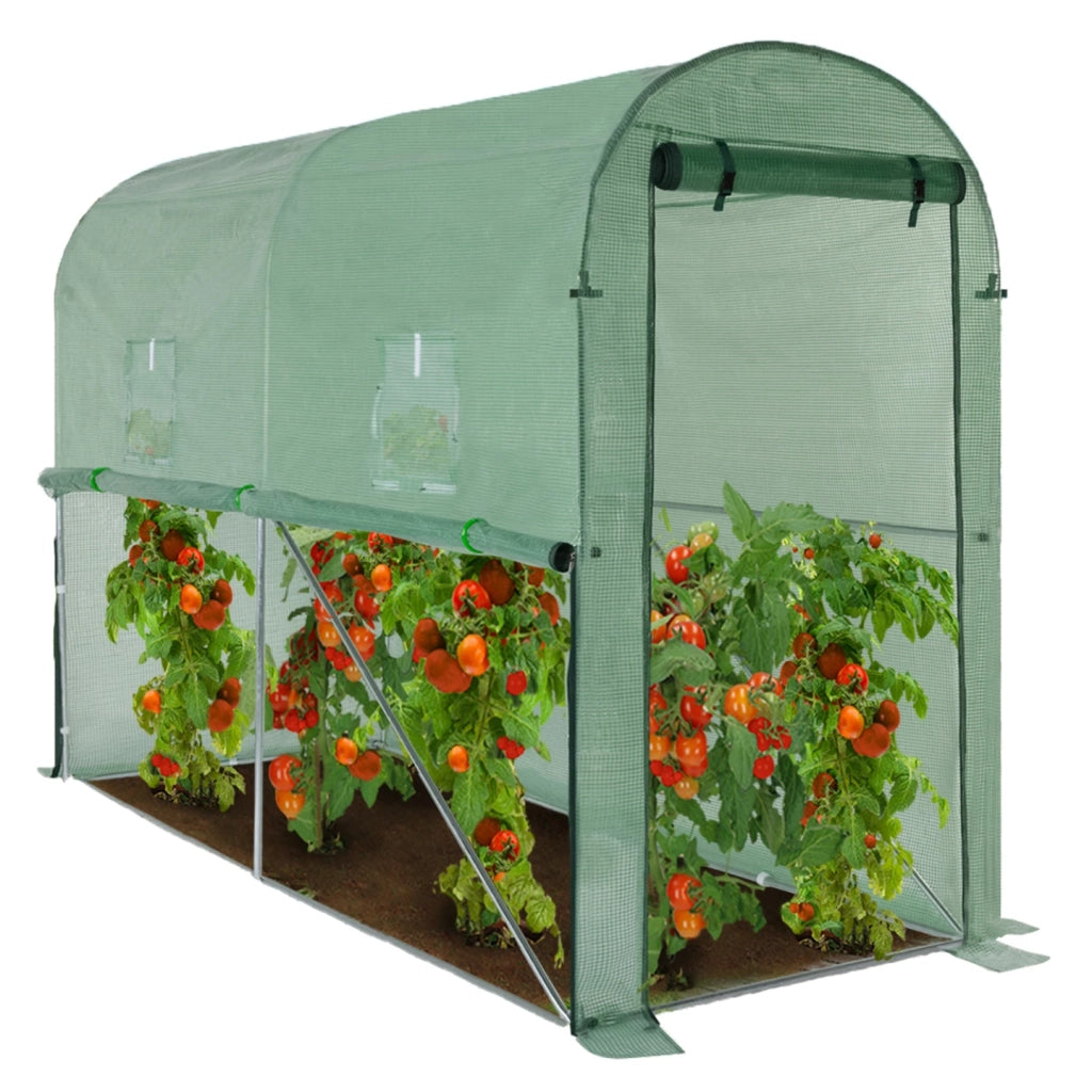 IDMarket - Serra per pomodori verde a cerniera con 2 finestre, zanzariera e porta con zip