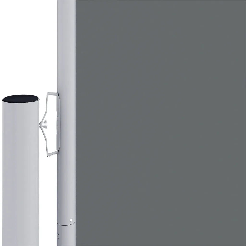 Tenda da Sole Laterale Retrattile Antracite 180x1200 cm 318074