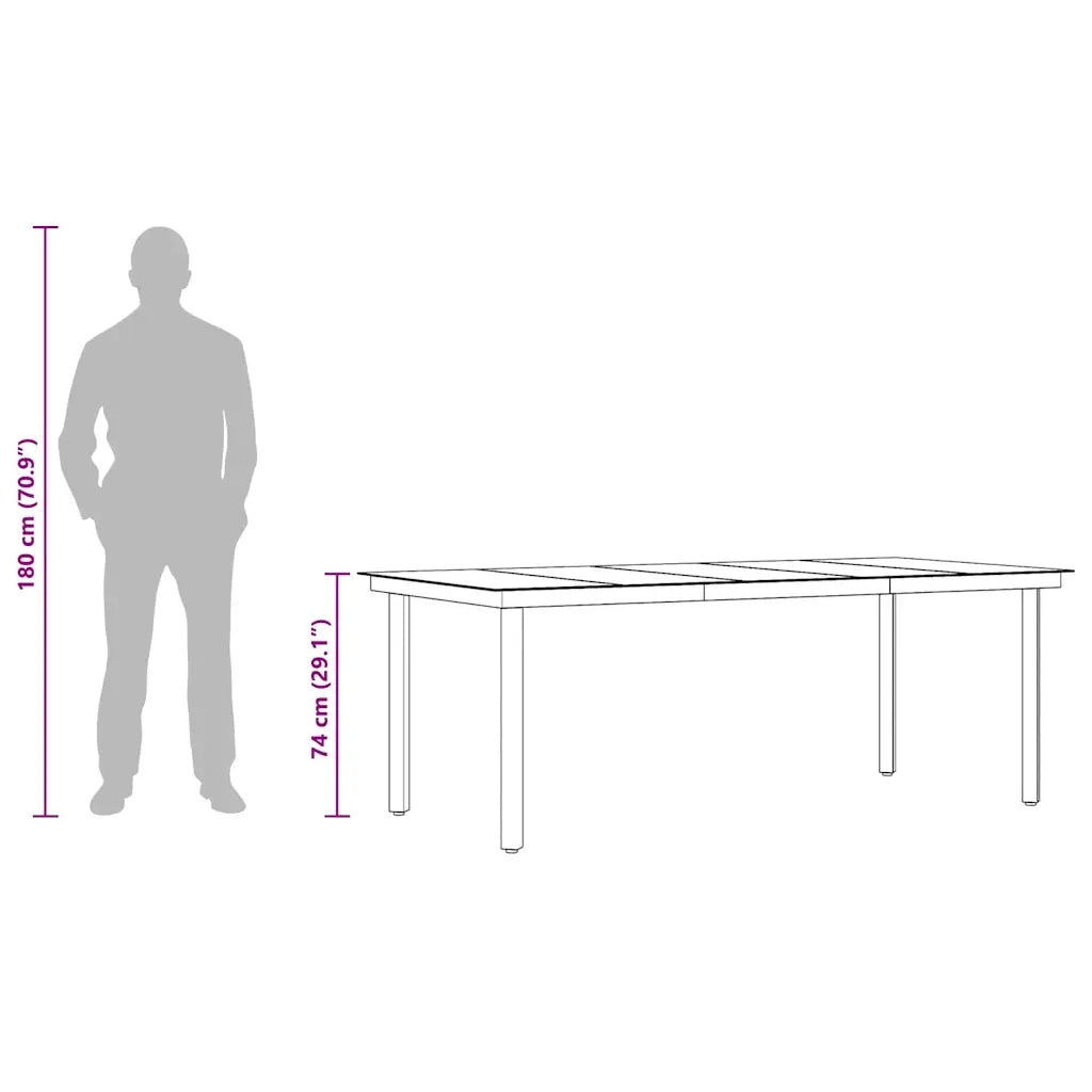 Tavolo da Pranzo da Giardino | Tavolino da esterno Nero 200x100x74 cm Acciaio e Vetro
