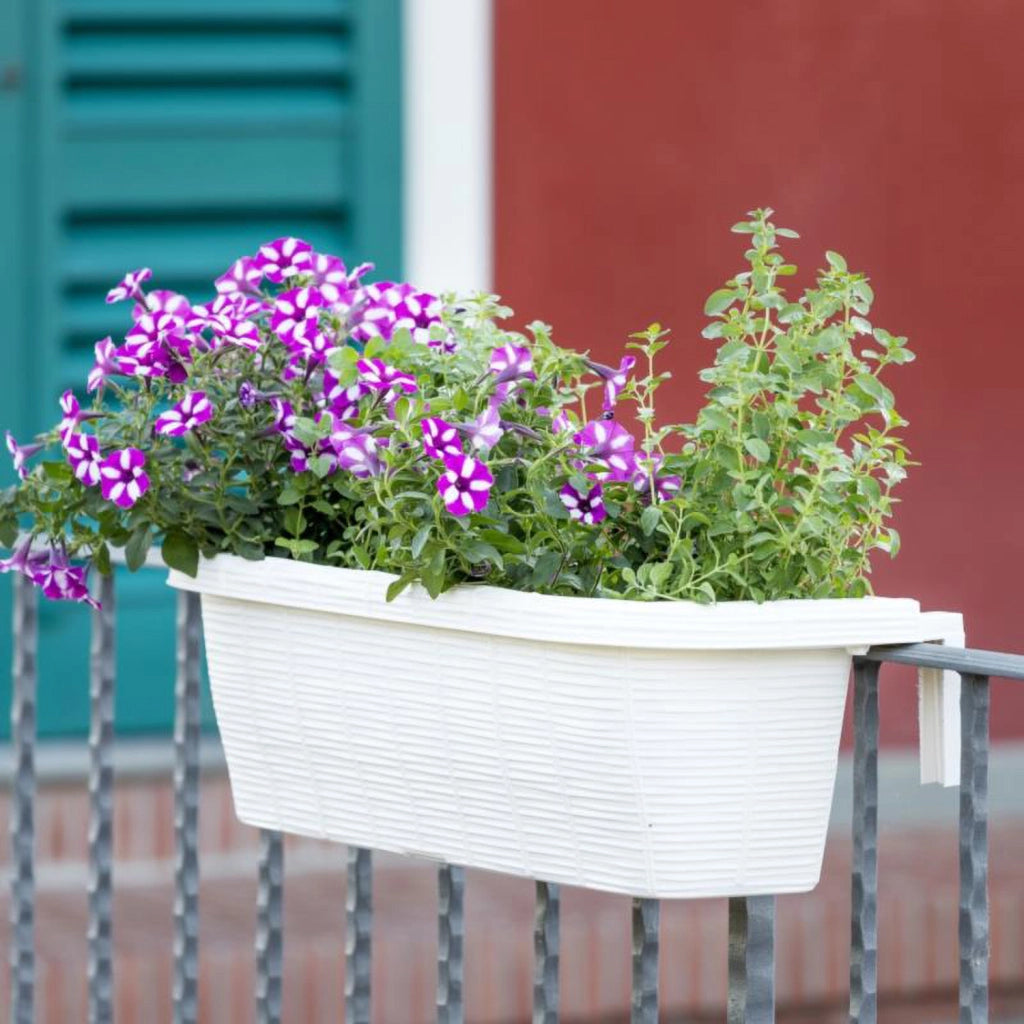 Rondine 60 - set di 6 balconiere intrecciate da 60cm con agganci regolabili e riserva d'acqua Panna