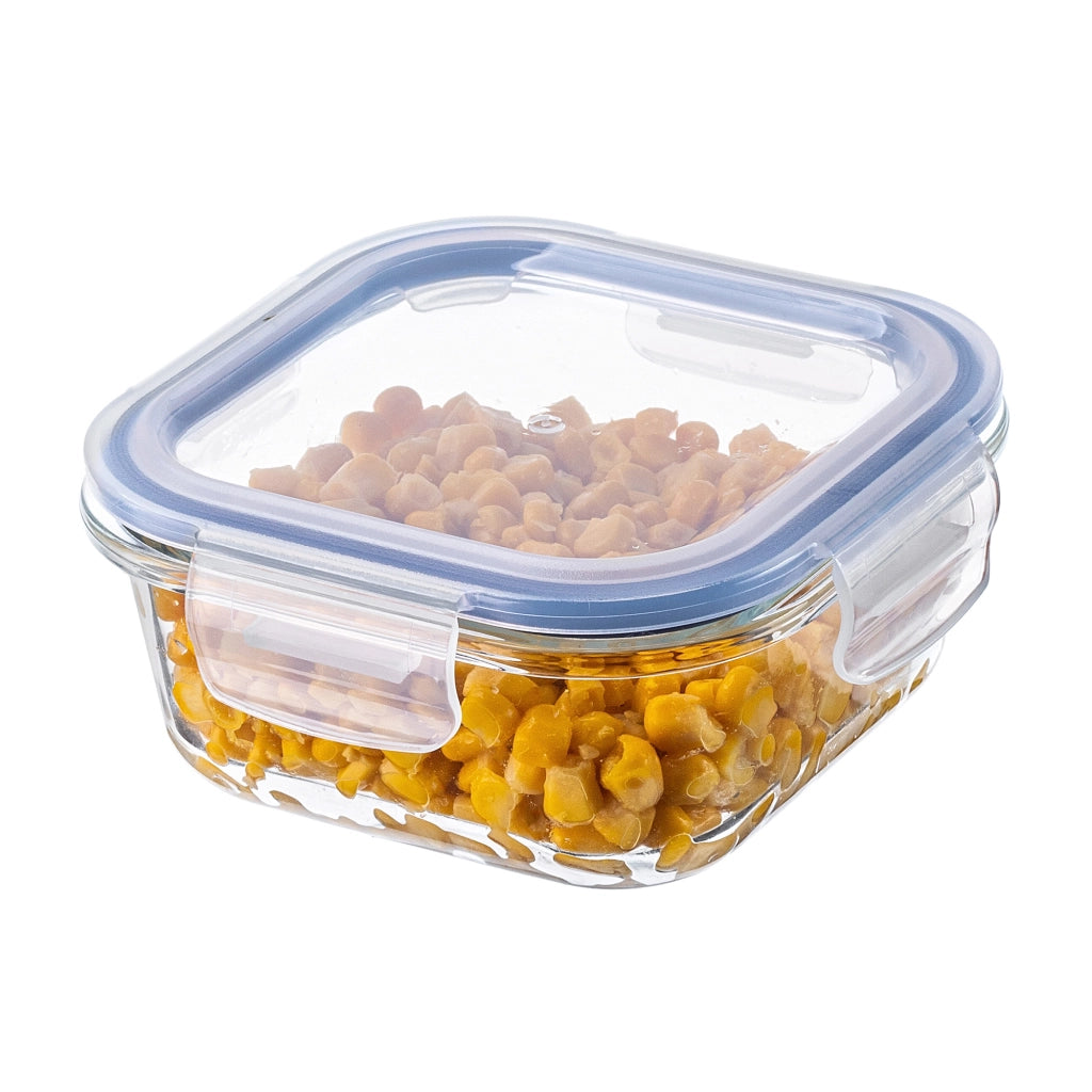 Contenitore per alimenti in vetro KADAX da 520 ml con coperchio, ideale per il pranzo o la colazione.