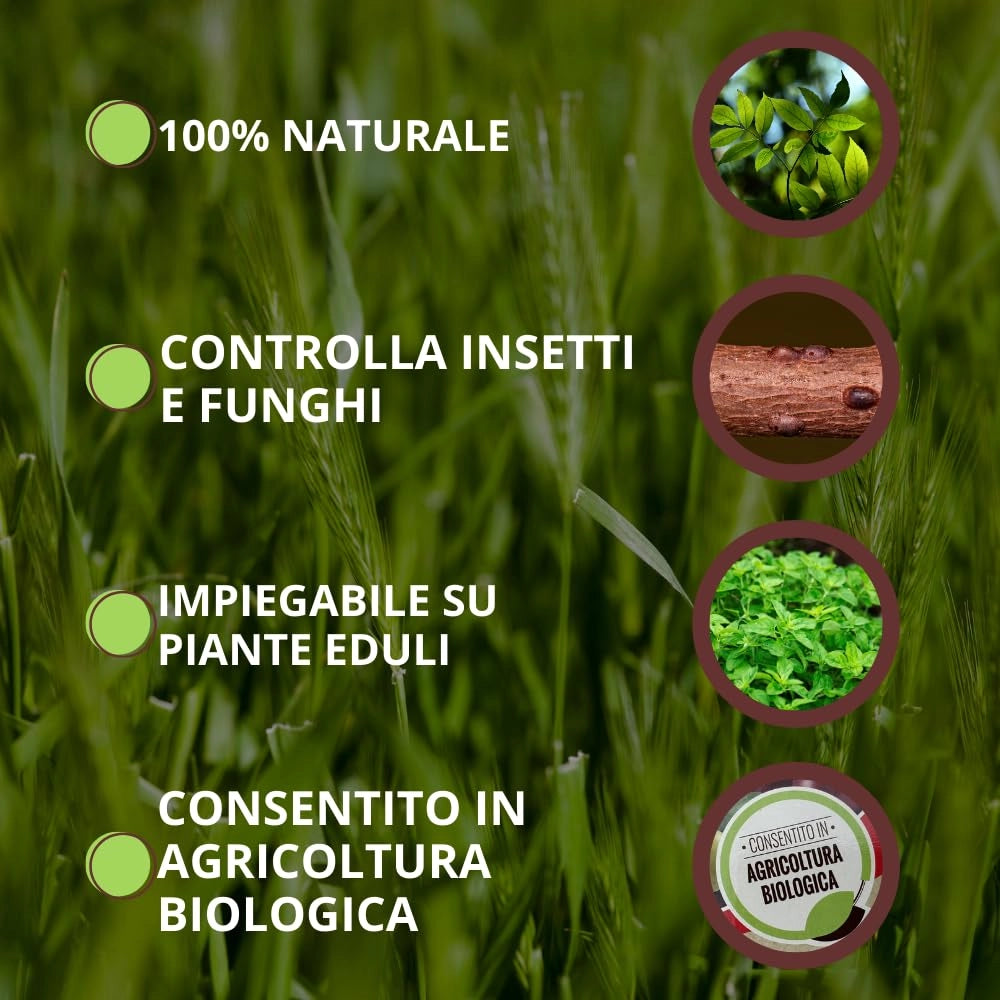 INSETTICIDA PROTEZIONE TOTALE VITHAL BIO KB - ML 750- 2 pezzi