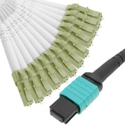 Cavo di espansione multimodo OM3 in fibra ottica a 50µm / 125µm MTP / PC su 12 x LC / PC 10 Gb 2 m