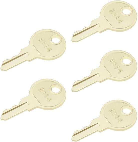 Dispensatore Chiave 5 Pezzi - Sostituzione per Dispensatore Carta igienica/Sapone - Ferro - Oro - Adatto per Modelli E114 - Leggero 6g