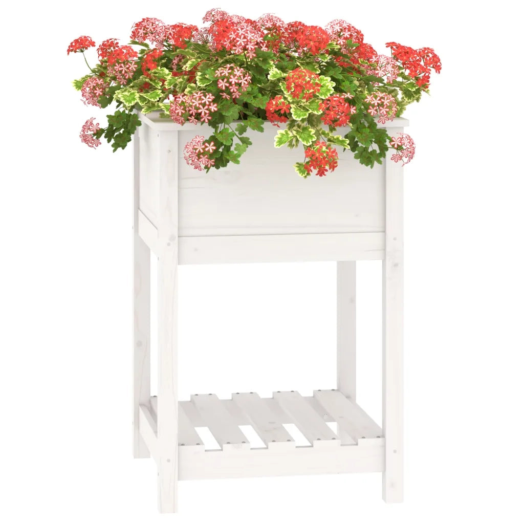 Fioriera con Mensola Bianca 54x54x81 cm Legno Massello di Pino cod mxl 52521