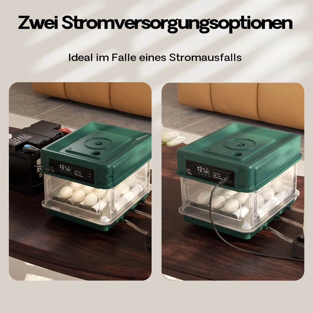 Fudajo Incubatrice per uova automatica, incubazione per 15 uova, 40 W con sistema di rotazione, controllo della temperatura e regolazione dell'umidità, allevamento pulcini