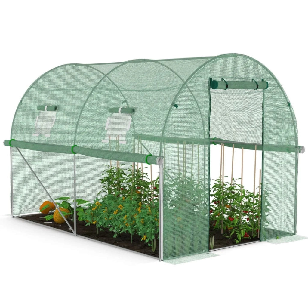 IDMarket - Serra tunnel di giardinario 6m²  verde 4 stagioni ZEBRA 2x3M